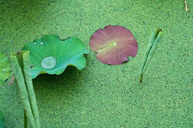 高能电玩节：文字冒险解谜游戏《文字游戏》新预告
