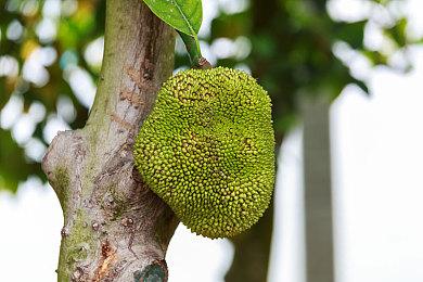 索尼调整实时服务游戏战略：从追求数量转向注重质量